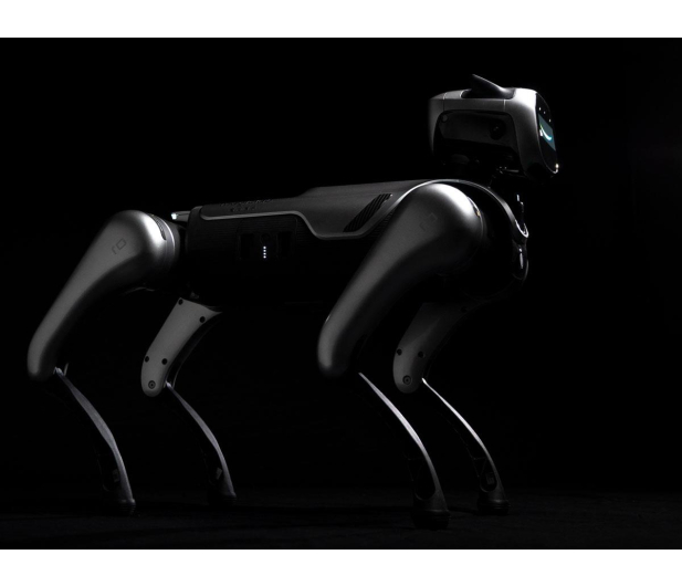 Magiclab Magicdog Edu - 1470907 - zdjęcie 14
